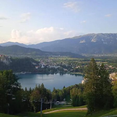 Apartment Mojca Near Bled Zabreznica المظهر الخارجي الصورة