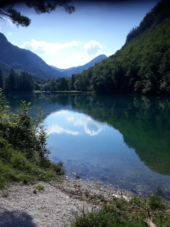 Apartment Mojca Near Bled Zabreznica المظهر الخارجي الصورة